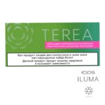 Kazakistan Terea Zing Wave IQOS-ıluma 200 Stick